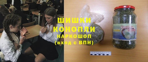 ешки Алексин