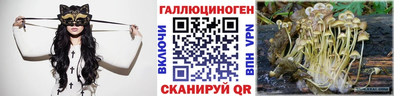 нарко площадка Telegram Прохладный Галлюциногенные грибы Psilocybe