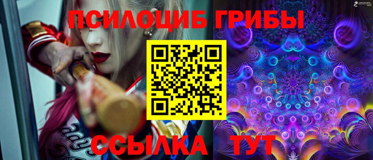 Галлюциногенные грибы GOLDEN TEACHER  Вход с VPN  Прохладный 