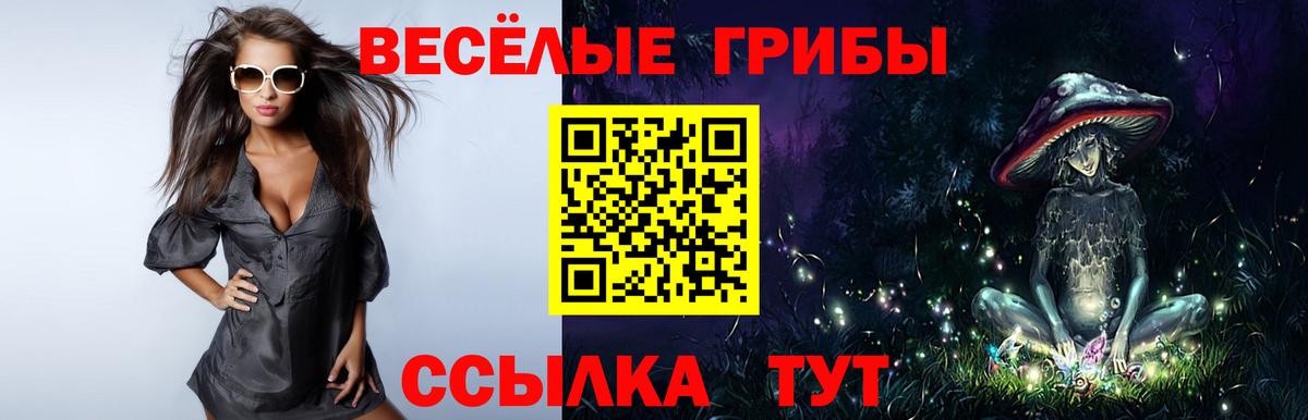Галлюциногенные грибы Psilocybine cubensis Прохладный